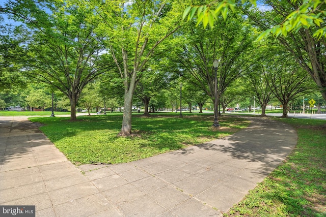 view of community with a lawn