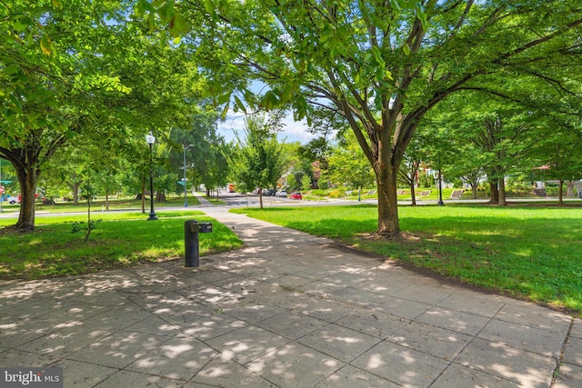 view of community featuring a yard