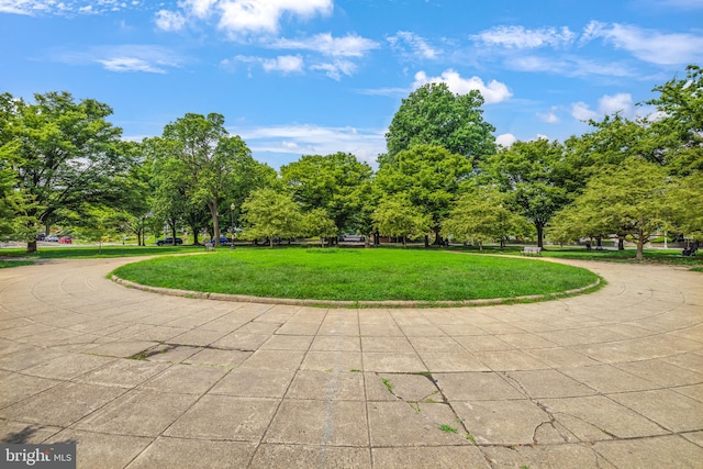 view of community with a yard