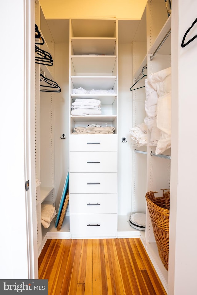 spacious closet featuring hardwood / wood-style floors