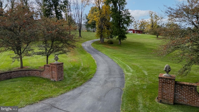 view of home's community with a lawn