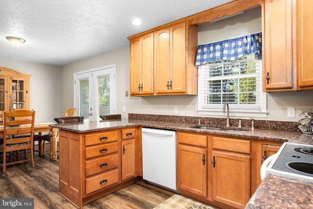 kitchen with white appliances, sink, a wealth of natural light, and dark hardwood / wood-style floors