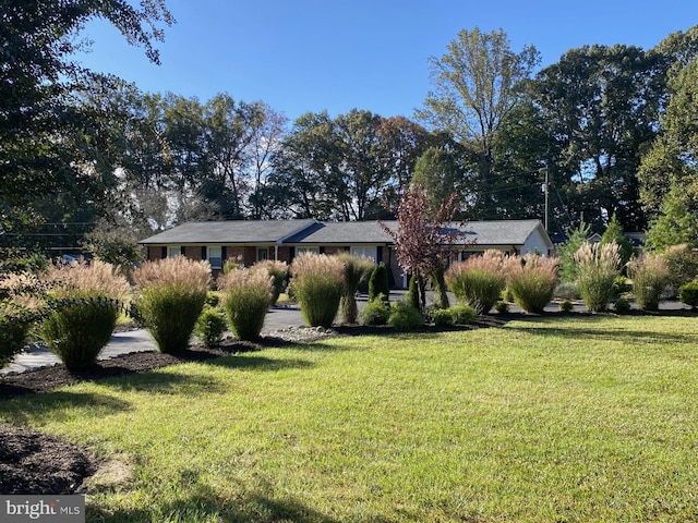 ranch-style house with a front lawn