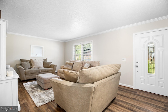 living room with ornamental molding, dark wood-type flooring, and a textured ceiling