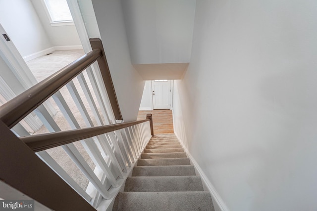 stairway featuring carpet