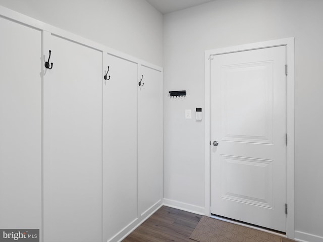 mudroom featuring dark wood-type flooring