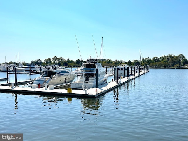 dock area featuring a water view