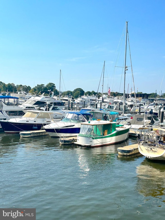 dock area featuring a water view