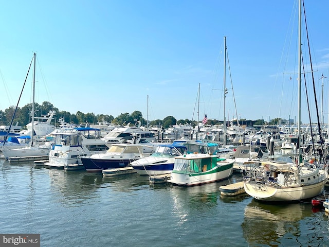 dock area featuring a water view