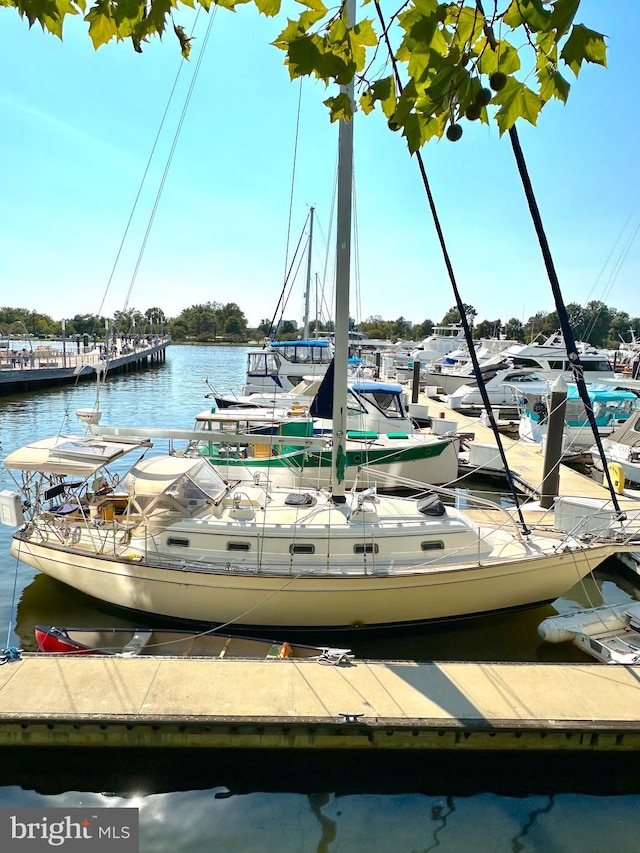 view of dock with a water view