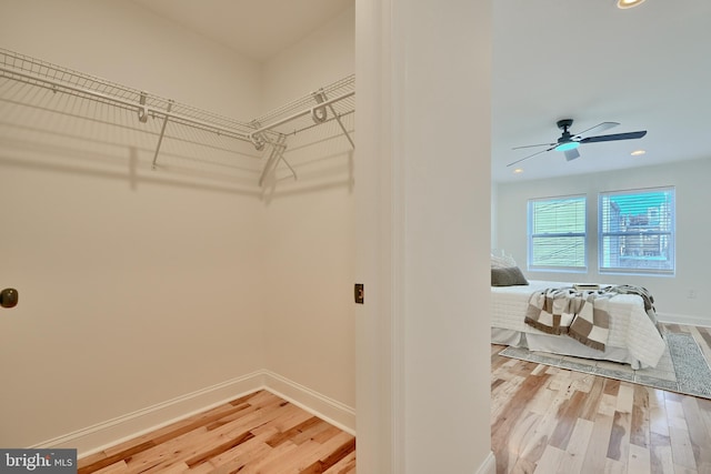 walk in closet featuring hardwood / wood-style floors and ceiling fan