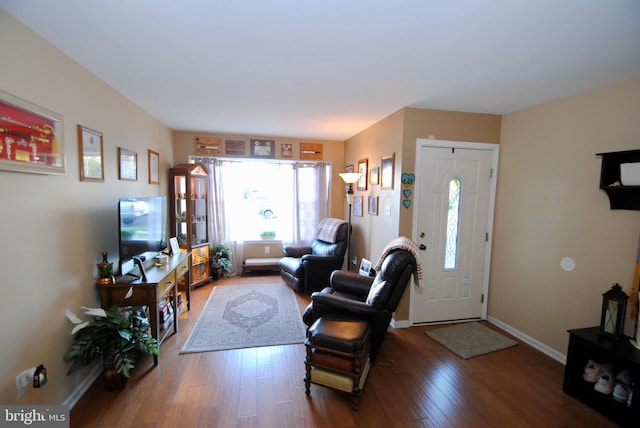 living room with wood-type flooring