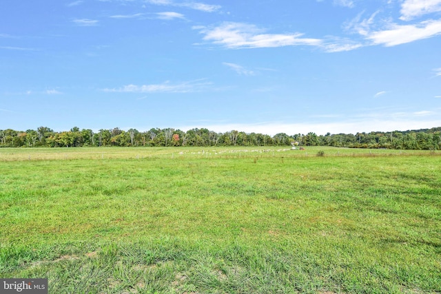 333 Carter Rd, Princeton, NJ 08540 - view of local wilderness featuring rural landscape