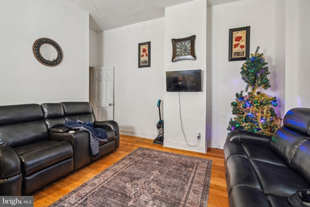 living room with wood-type flooring