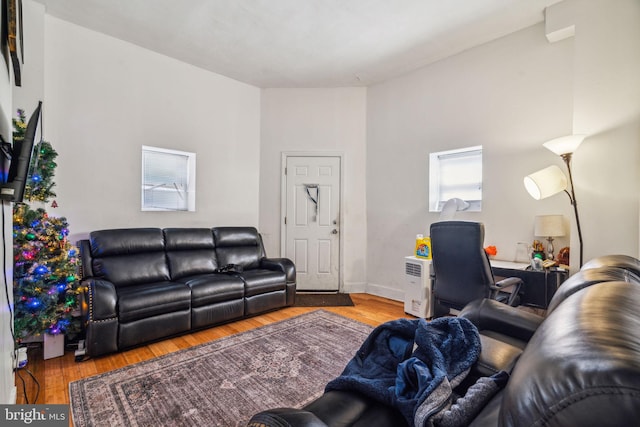 living room with hardwood / wood-style floors