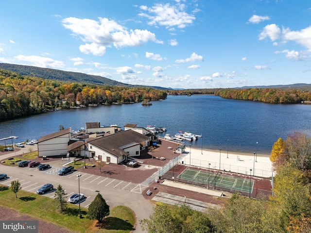 273 Four Seasons Dr, Drums, PA 18222 - drone / aerial view with a view of trees and a water view