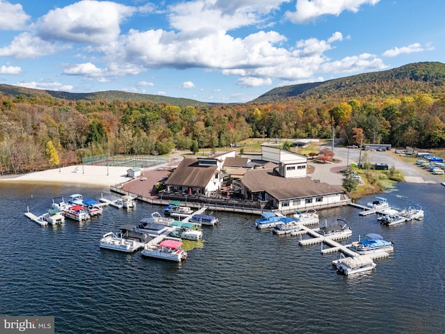 273 Four Seasons Dr, Drums, PA 18222 - drone / aerial view featuring a forest view and a water and mountain view