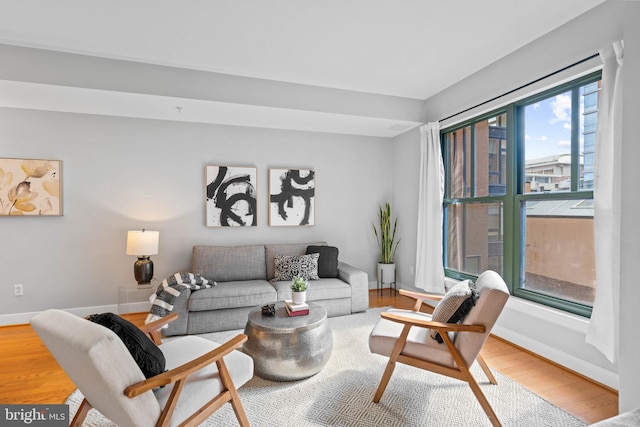 living room featuring hardwood / wood-style floors