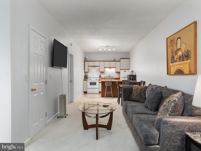 carpeted living room with sink and a textured ceiling