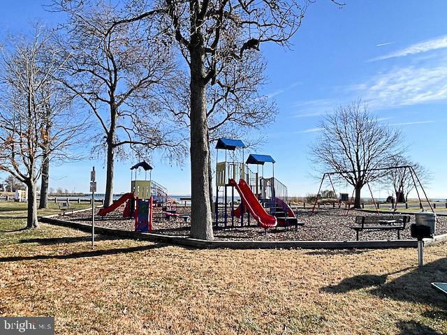 view of jungle gym