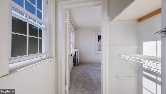 interior space featuring radiator heating unit and carpet floors