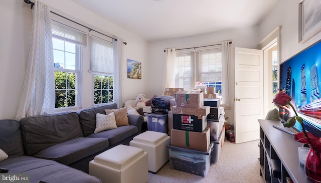 carpeted living room with a healthy amount of sunlight