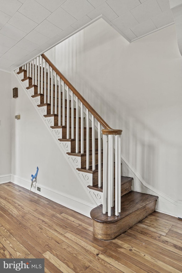 staircase with hardwood / wood-style flooring