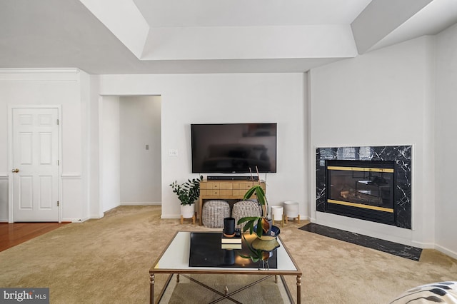 living room with a premium fireplace and carpet flooring