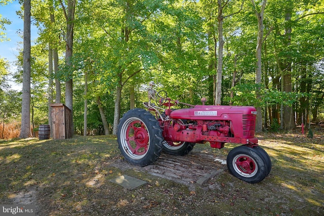 view of yard with a storage shed