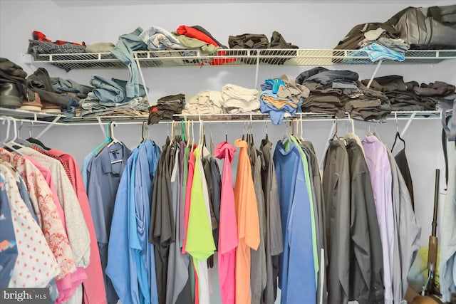 view of spacious closet