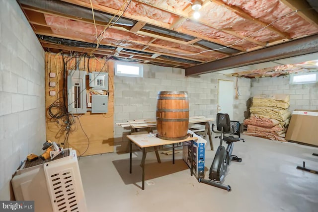 basement featuring electric panel