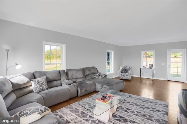 living room with hardwood / wood-style flooring and a healthy amount of sunlight