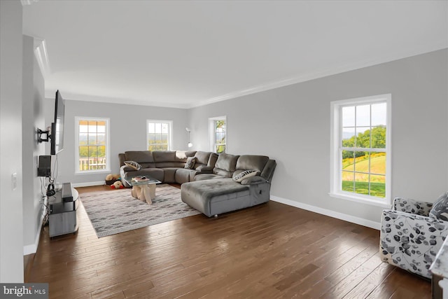 living room featuring dark hardwood / wood-style floors and crown molding