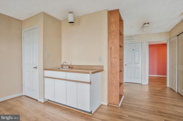 kitchen with sink, a textured ceiling, and light wood-type flooring