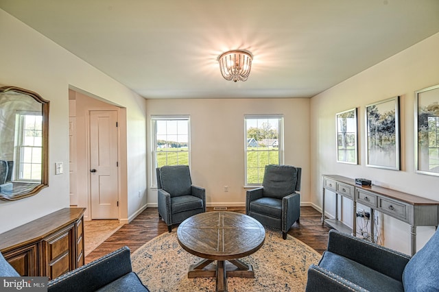 sitting room featuring dark wood-type flooring