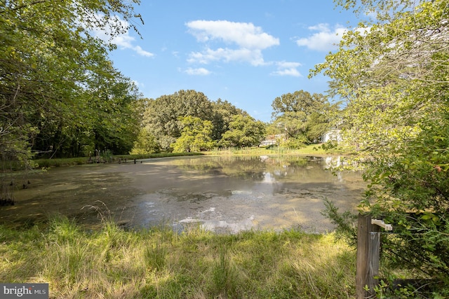 view of water feature