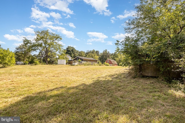 view of yard with a storage shed