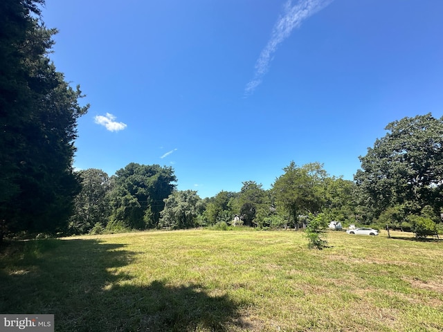 view of yard with a rural view