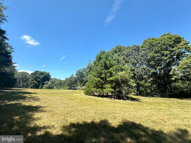 view of landscape