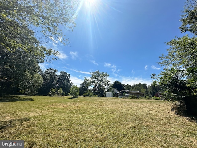 view of yard with a storage shed