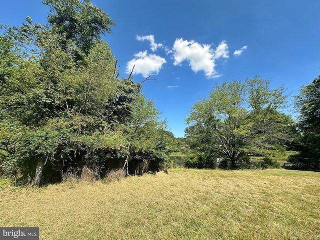 view of local wilderness