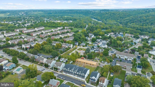 bird's eye view