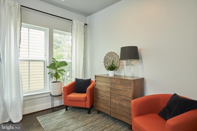 living area featuring dark hardwood / wood-style flooring