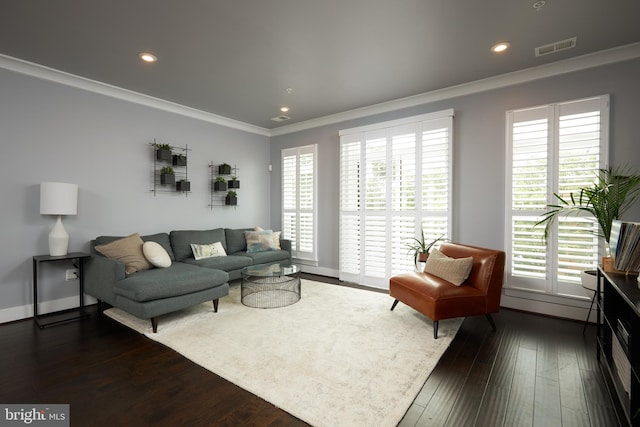 living room featuring crown molding and dark wood-type flooring