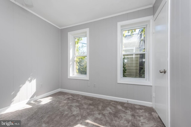 spare room featuring carpet flooring and crown molding