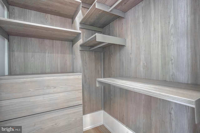 walk in closet featuring light hardwood / wood-style floors