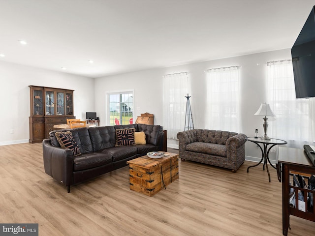 living room with light hardwood / wood-style floors