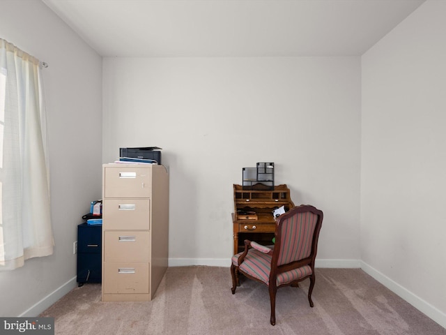 sitting room featuring light carpet