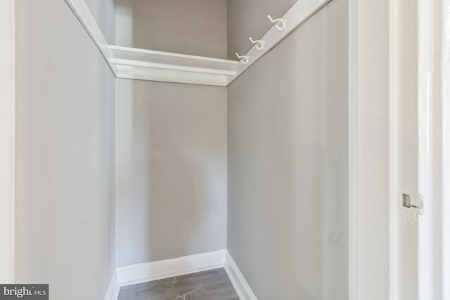 walk in closet featuring hardwood / wood-style flooring