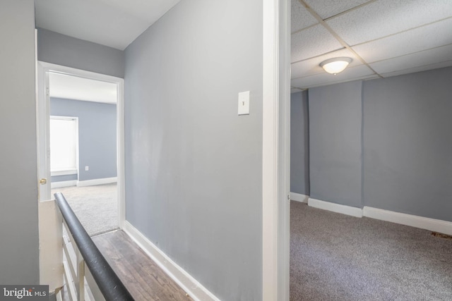 hallway with a drop ceiling and carpet